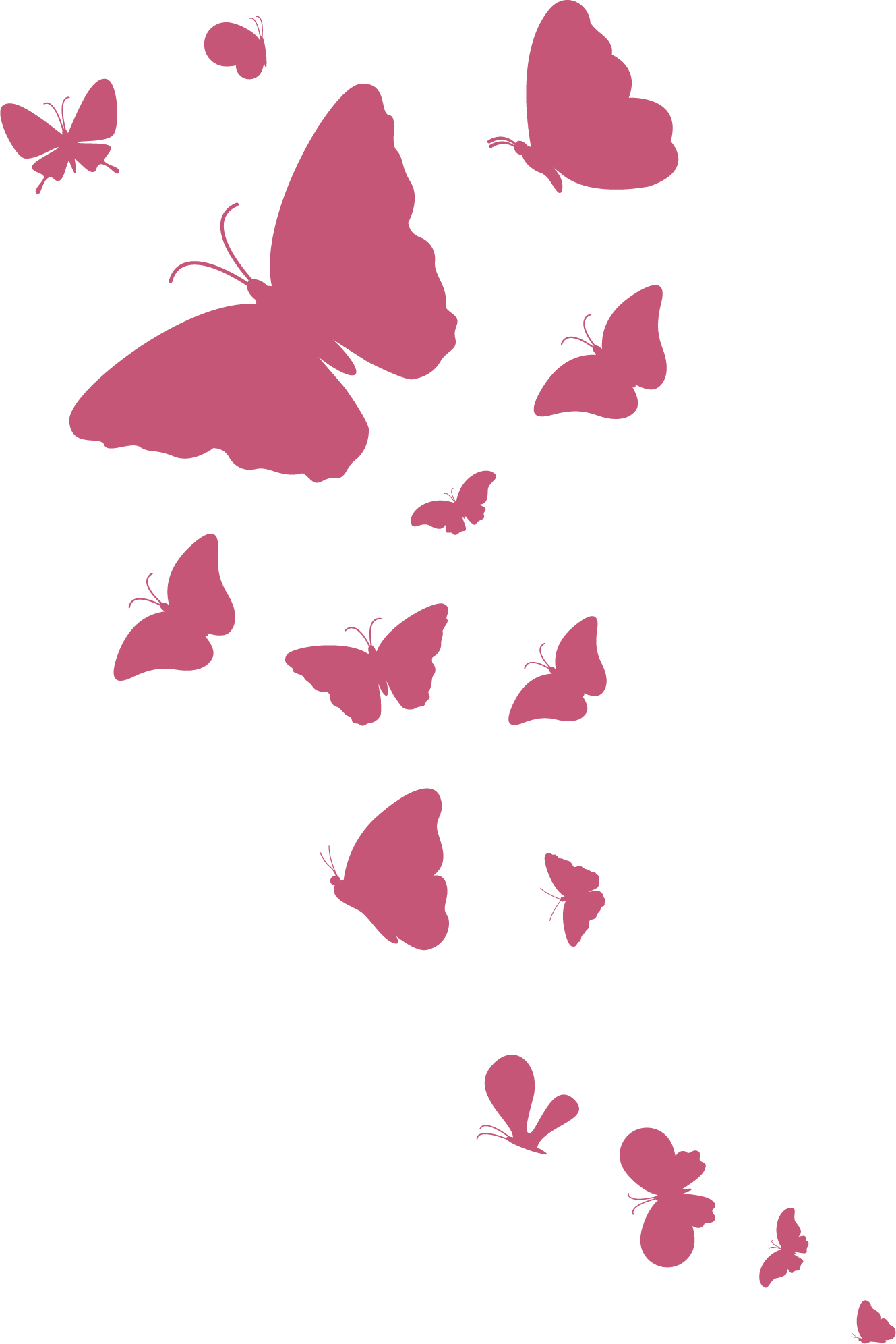 Butterflies